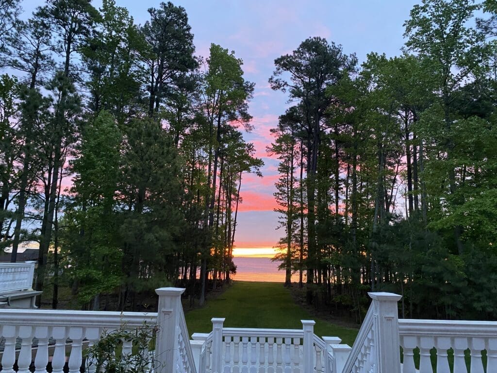 Sunset view through trees by the lake.